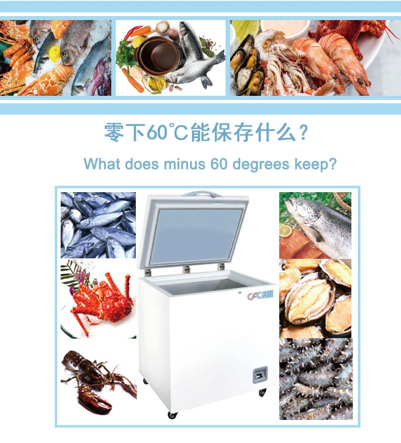 -70c Large Ultra-Low Temperature Meet Tuna Deep Freezer