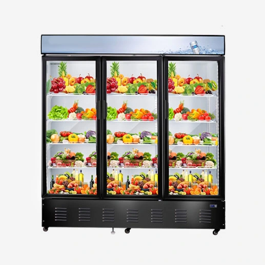 La porte en verre simple du réfrigérateur 265L d'affichage de supermarché boit le réfrigérateur commercial plus frais