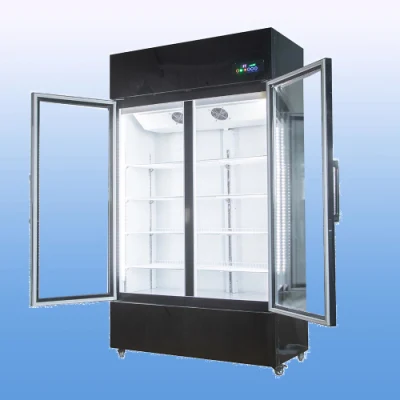 Barre d'affichage commerciale à dégivrage automatique de haute qualité Réfrigérateur 700L Congélateur vertical à double porte en verre pour boissons froides et jus